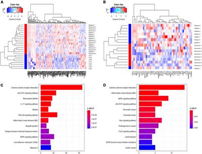 Serum IL-12p40: A novel biomarker for early prediction of minimal change disease relapse following glucocorticoids therapy